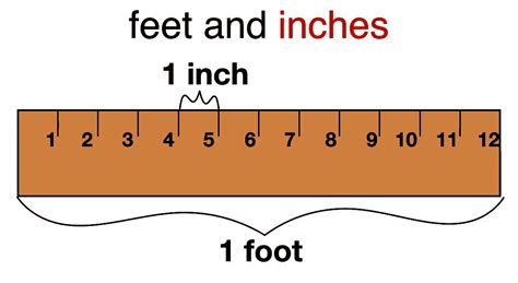 How Many Feet And Inches Is 53 Inches