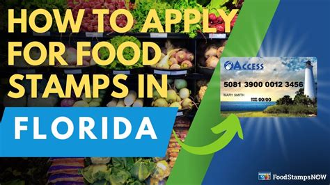 How To Apply For Food Stamps In Florida Youtube