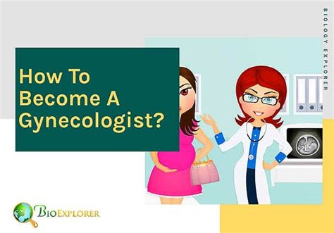 How To Become A Gynecologist Ob Gyn Bioexplorer Net