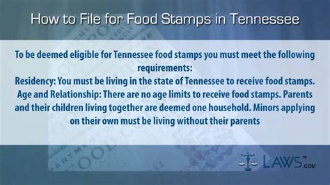 How To File For Food Stamps Tennessee Youtube