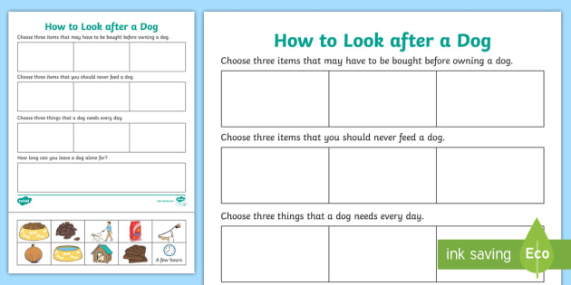 How To Look After A Dog Worksheet Teacher Made Twinkl