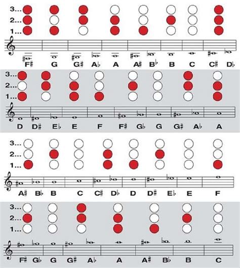 How To Play The Trumpet