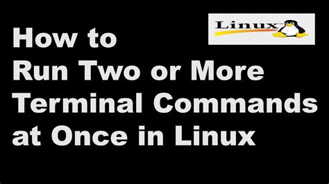 How To Run Two Or More Terminal Commands At Once In Linux