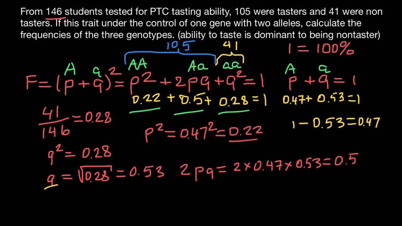 How To Solve Hardy Weinberg Problems In Genetics Youtube