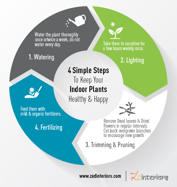 How To Take Care Of Your Indoor Plants Zad Interiors