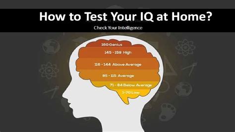 How To Test Your Iq At Home Know 3 Different Ways To Check Your Intelligence