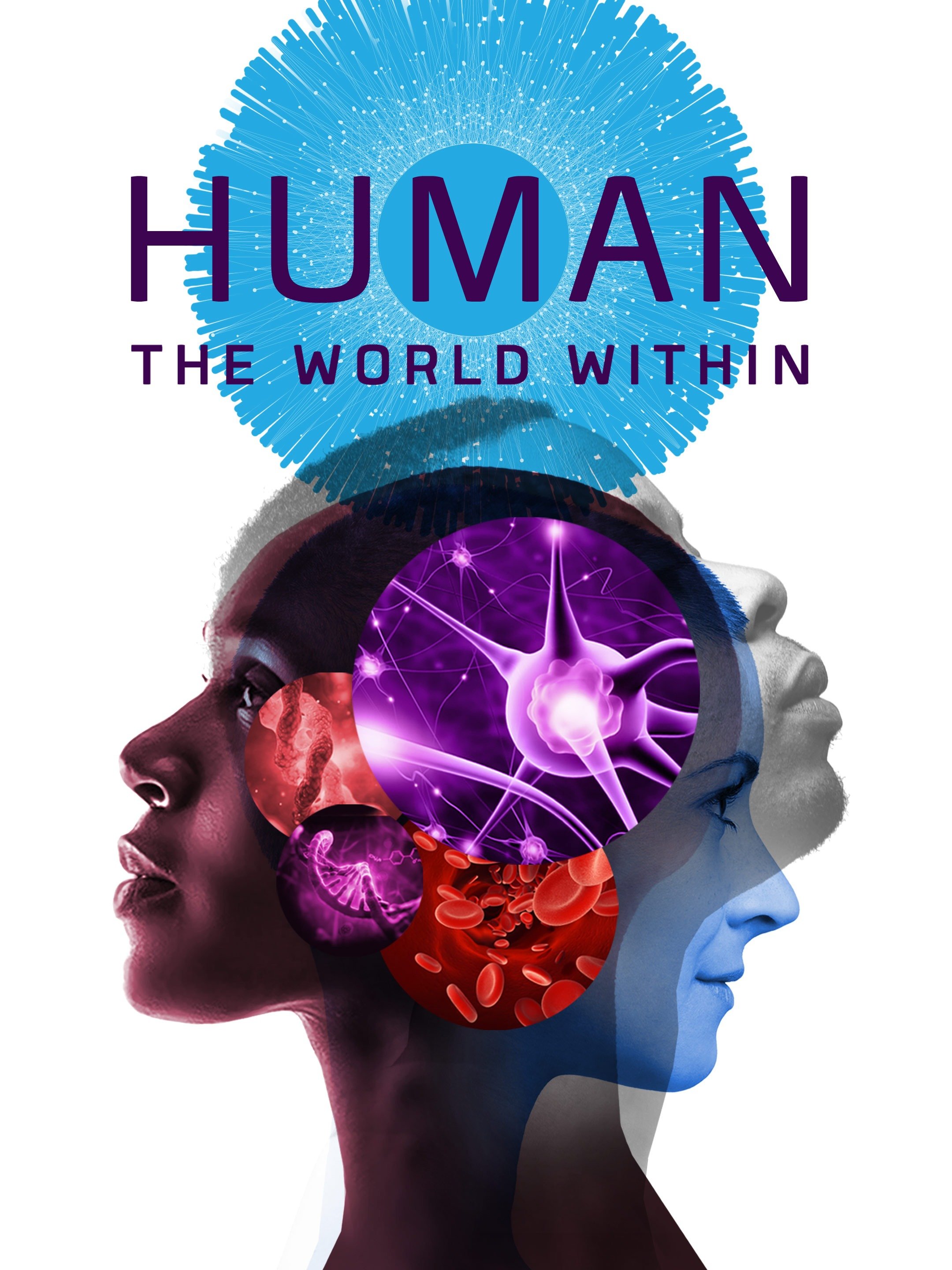 Explore Humanity with Human the World Within Worksheet