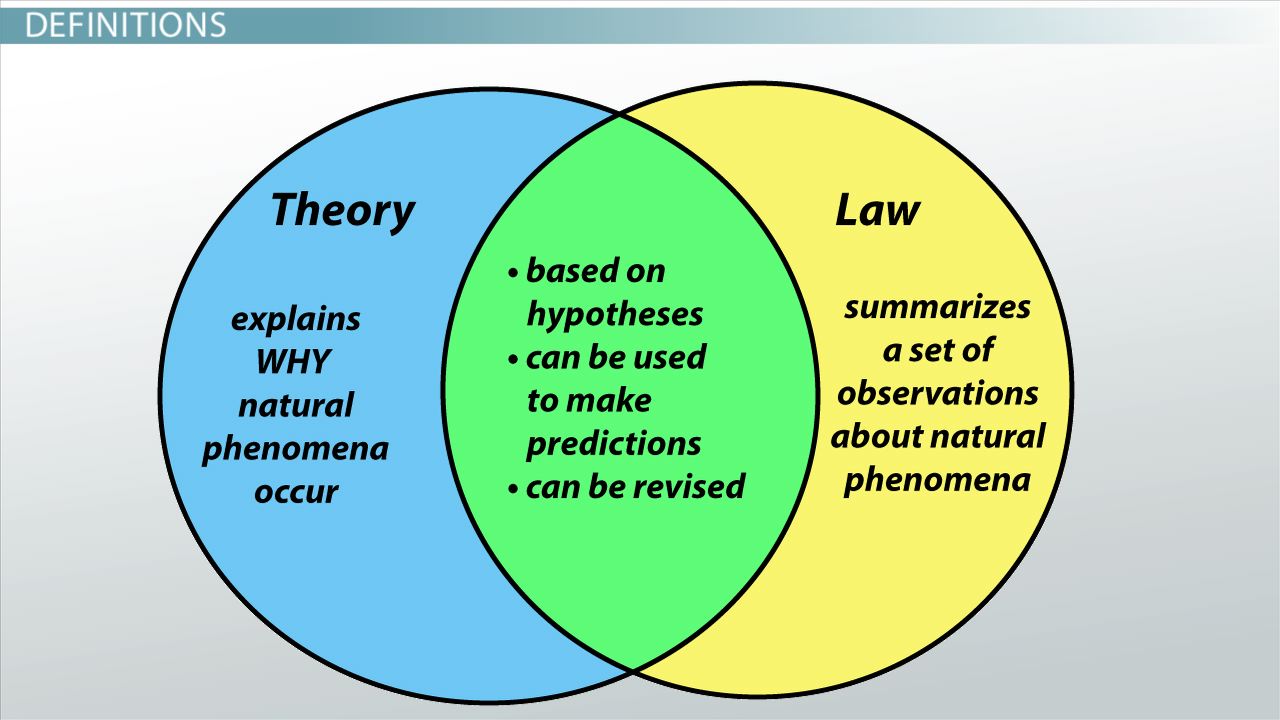 Hypothesis Theory Amp Law In Science Video Amp Lesson Transcript Study Com