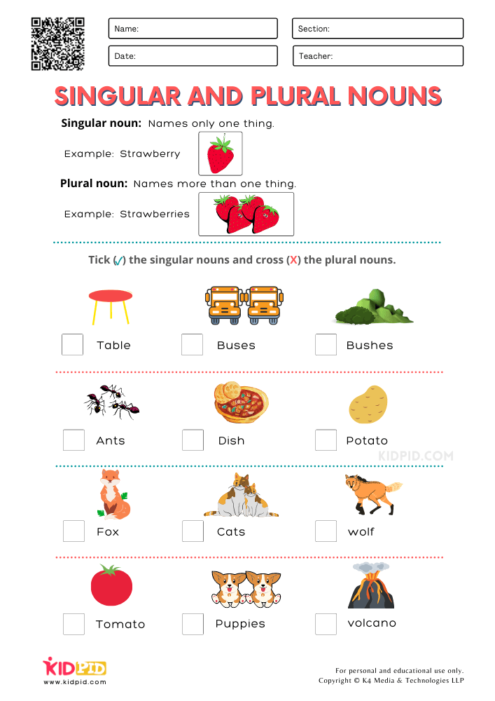 Identify Singular And Plural Nouns Printable Worksheets For Grade 1