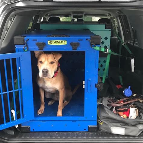 Impact Dog Crates On Instagram How Do You Safely Travel With Your Dogs We Use