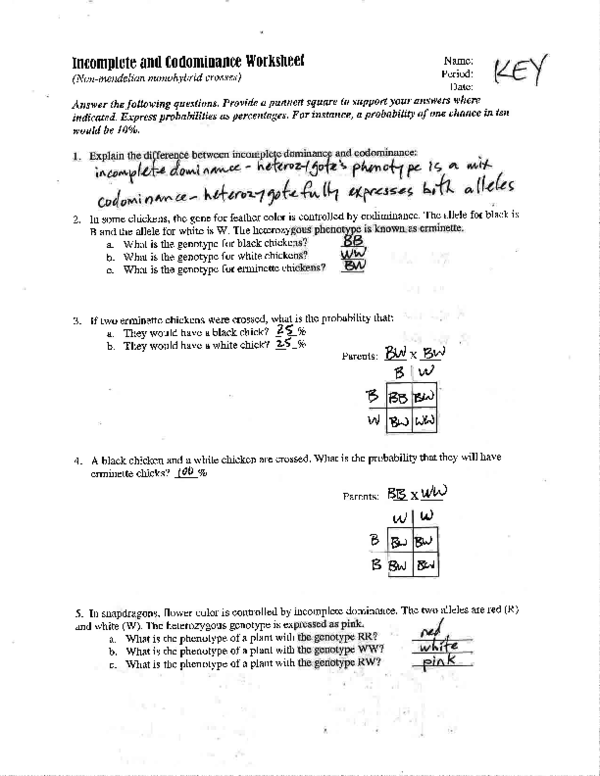 Incomplete And Codominance Worksheet Worksheets Library