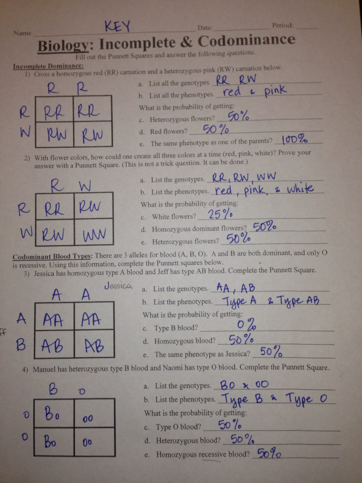 Incomplete Dominance And Codominance Practice Problems Worksheet Answer