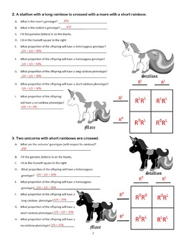 Incomplete Dominance Worksheet Blending Activity Black White Tpt