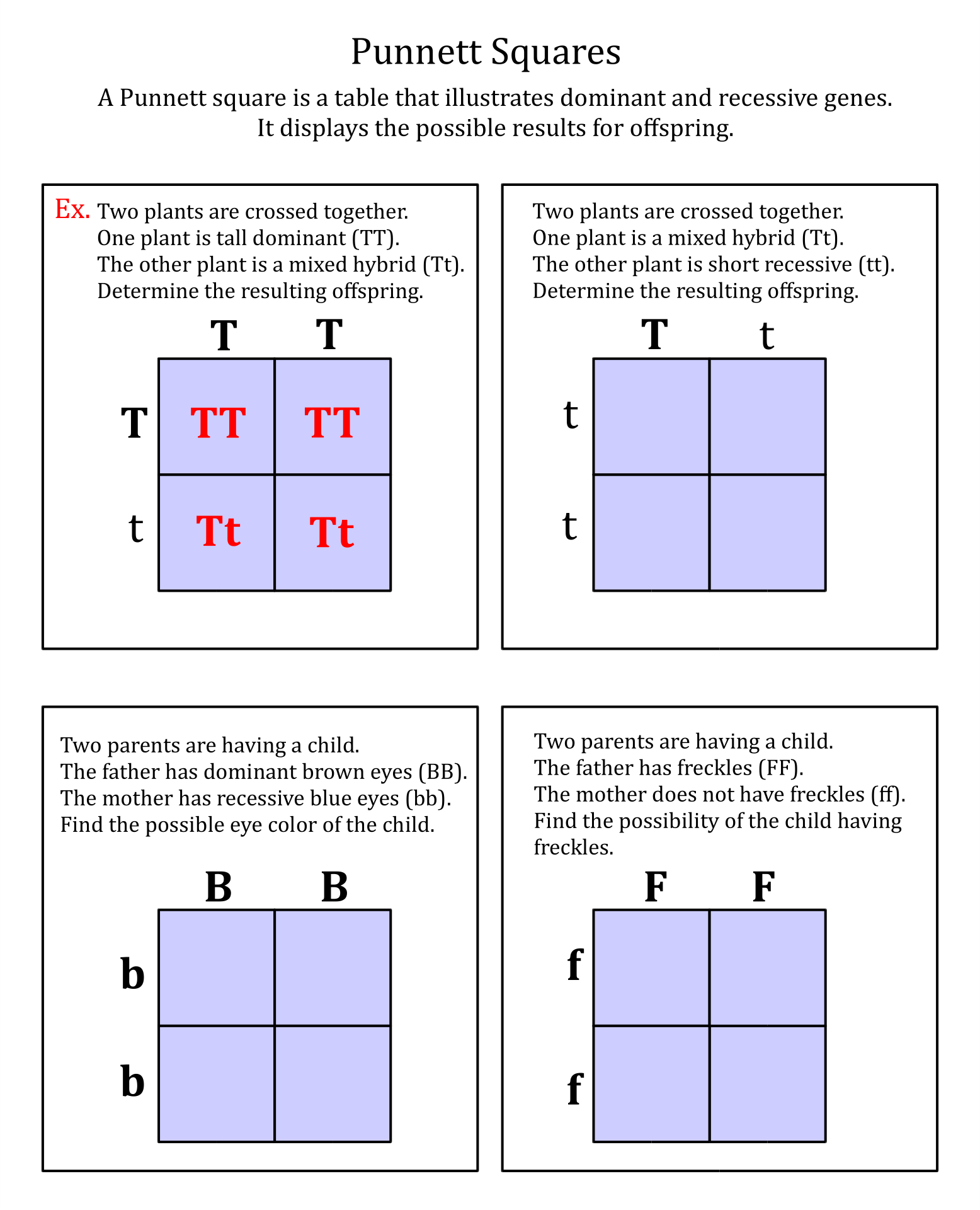 Incredible Dihybrid Punnett Square Practice Problems Answer Key Pdf 2023 Athens Mutual Student