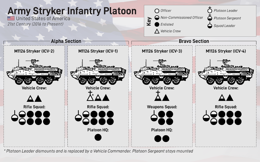 Infantry Platoon And Squad-1