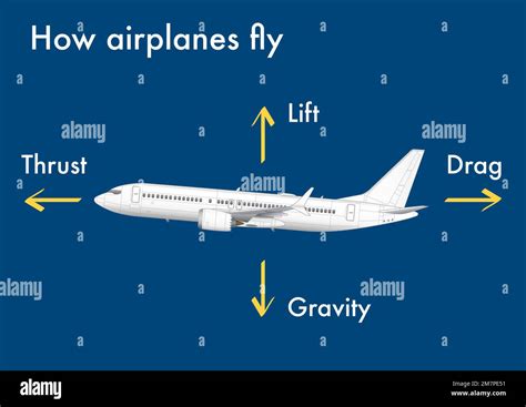 Infographic Explaining How Airplanes Generate Lift And Fly Stock Photo Alamy