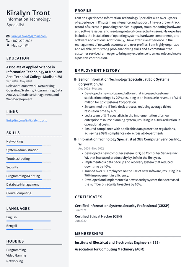 Information Technology Specialist Resume Example