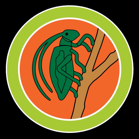 Insect Study Merit Badge Emblem Boy Scouts Of America