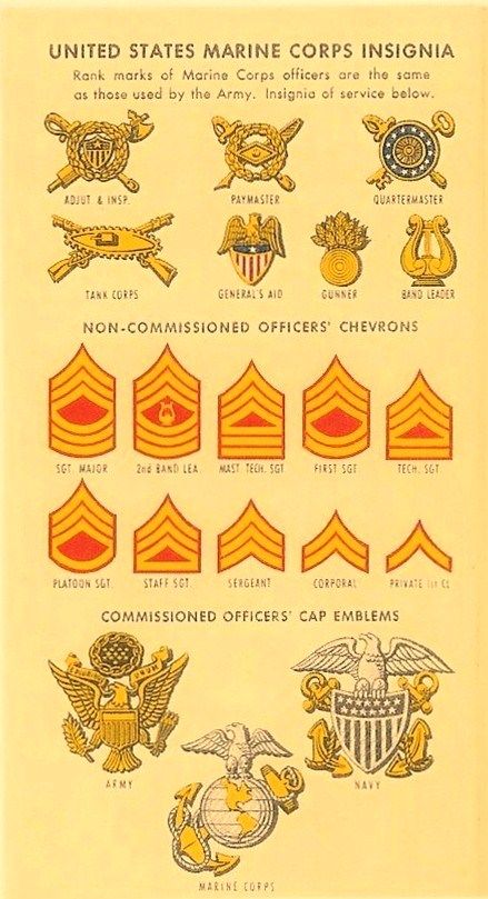 Insignia Worn By The United States Army Navy And Marine Corps 1942 Fanny Farmer Candy Shops