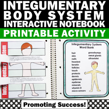 Integumentary System Interactive Notebook By The Science Hedgehog