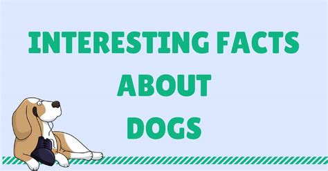 Interesting Facts About Dogs I Love Veterinary