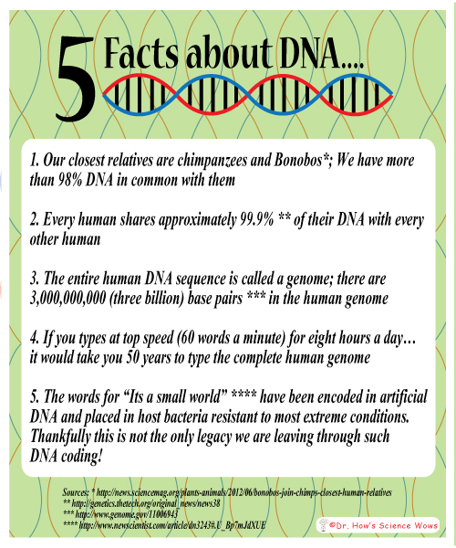 Interesting Fun Facts About Dna Updated