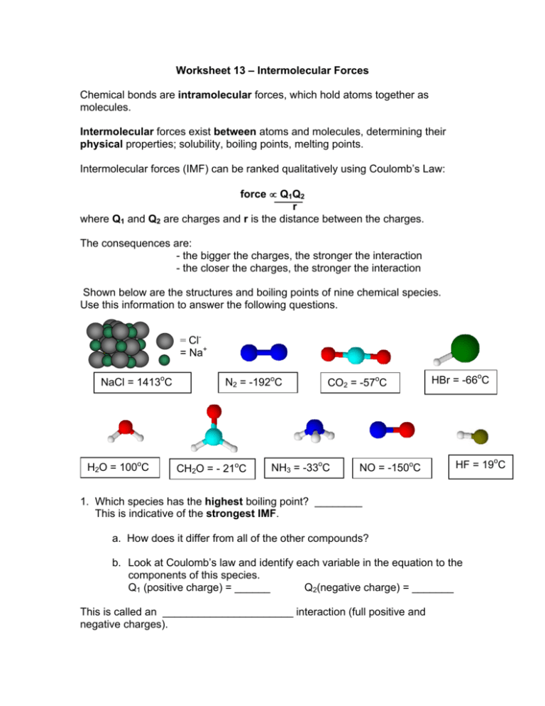 Intermolecular Forces Conceptual Worksheet For Chemistry Classes