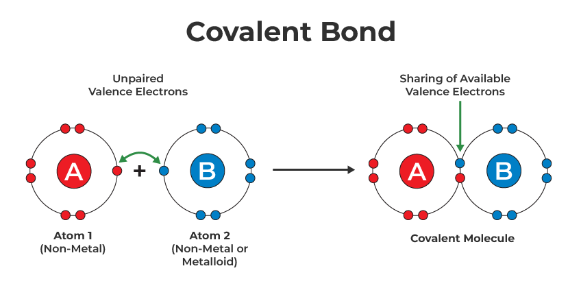 Introduction To Covalent Bond Drawing Youtube