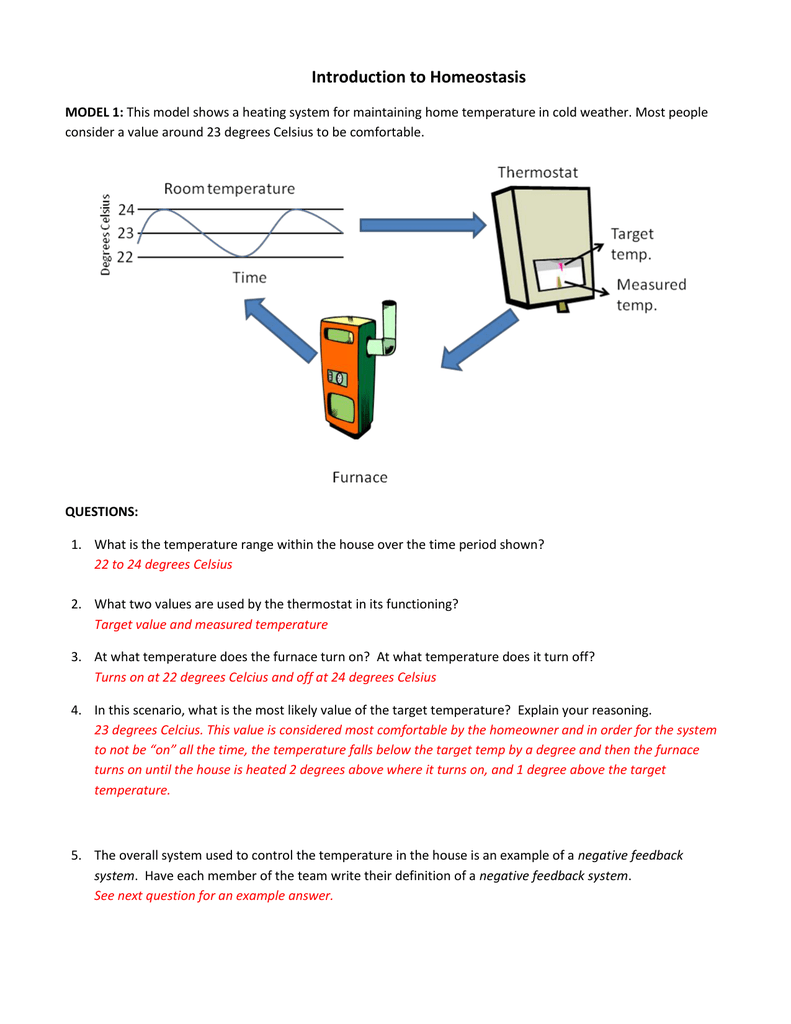 Introduction To Homeostasis Worksheets