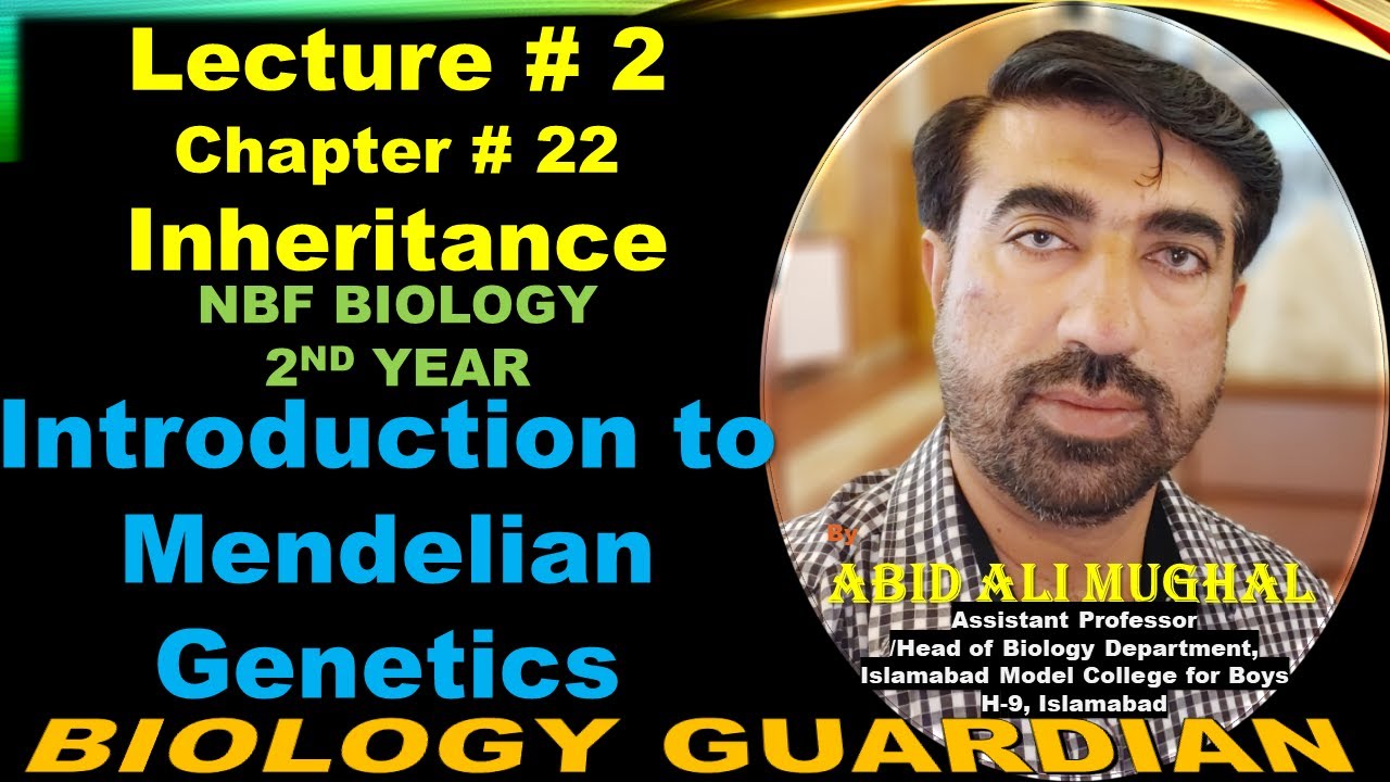 Introduction To Mendelian Genetics Youtube