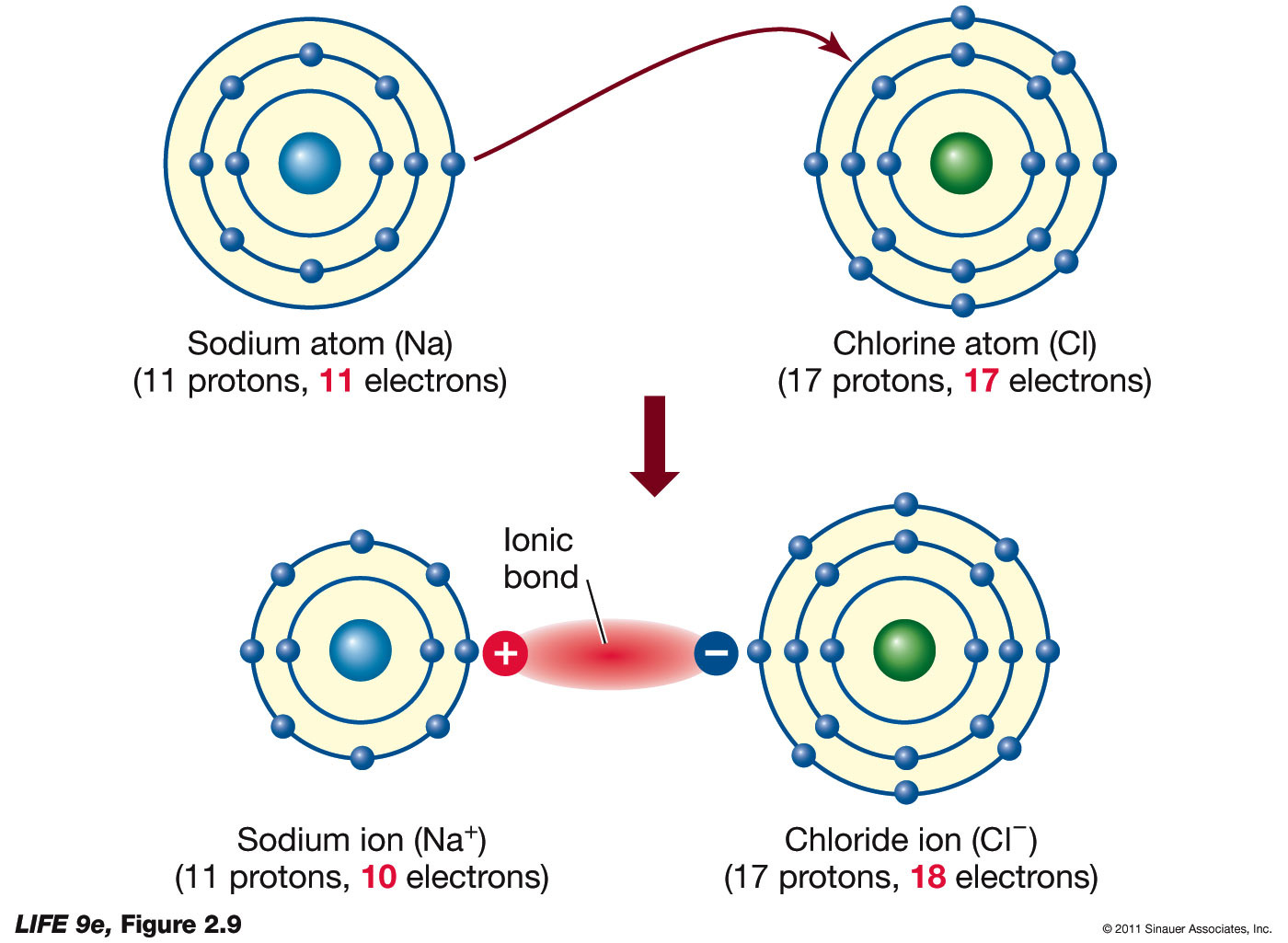 Ionic Bonding Lewis Dot Diagrams Practice By The Bio Babes Tpt