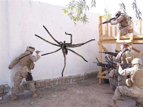 5 Ways Iraq Battles Massive Spiders