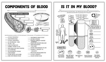 Is It In My Blood Worksheet Answers