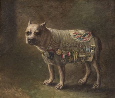 Sergeant Stubby Is A Veteran