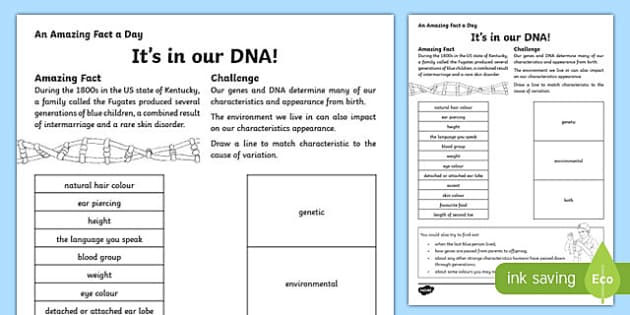 It S In Our Dna Worksheet Worksheet Worksheet