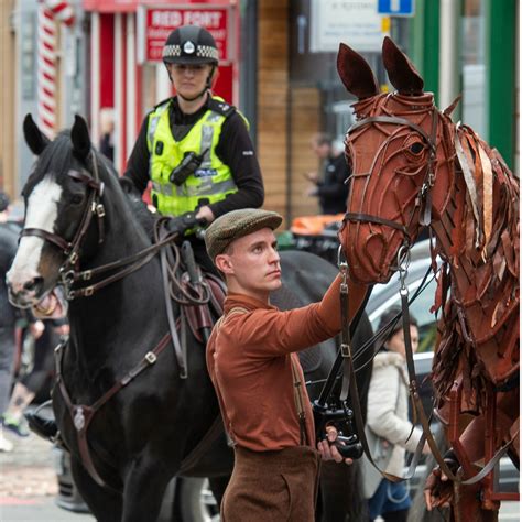 Joey The War Horse Meets The Real Deal Capital Theatres