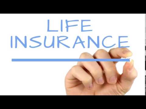 Joint Term Life Insurance Explained