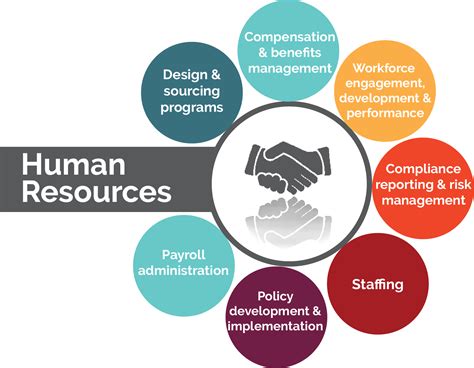 Key Roles Of The Humanresource Human Resources Human Resources Jobs