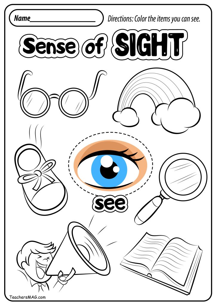 Kindergarten The 5 Senses Worksheets Free Printables