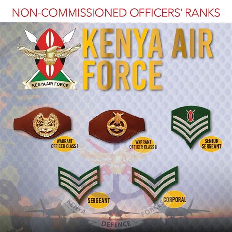 Know Your Military Non Commissioned Officers Ministry Of Defence