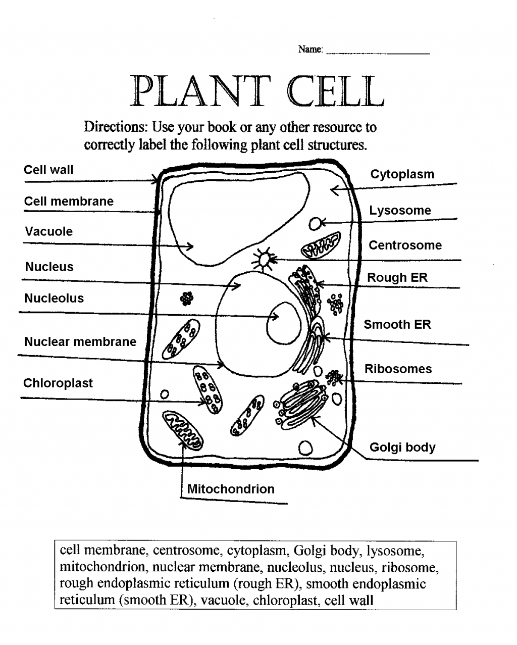 5 Easy Ways to Label a Plant Cell Diagram