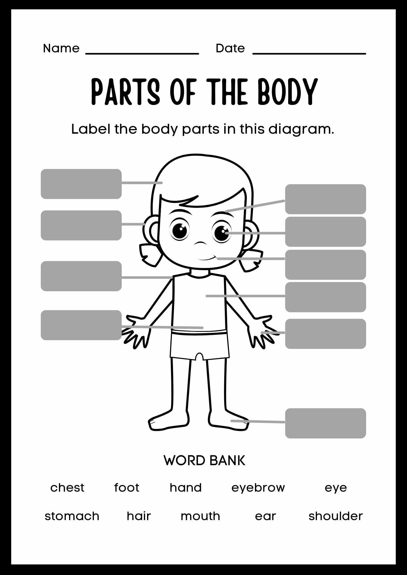 Label Body Parts Worksheet For Kindergarten 2Nd Grade Lesson Planet