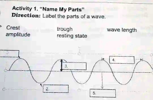 Label Parts Of A Wave Worksheet 30 Label The Parts Of A Wave Label