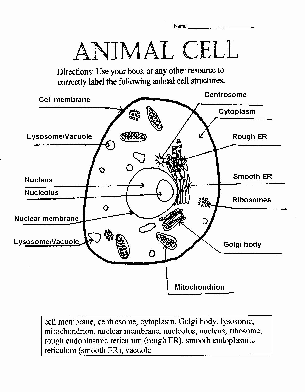 Labeling An Animal Cell Worksheet