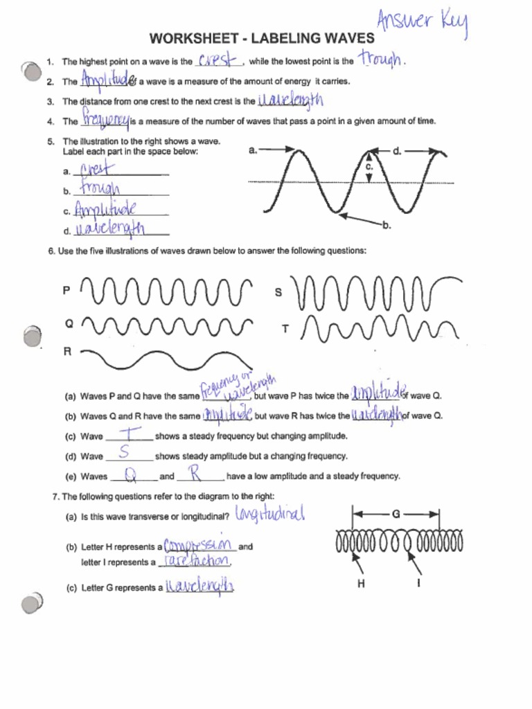 Labeling Waves Worksheets Answers