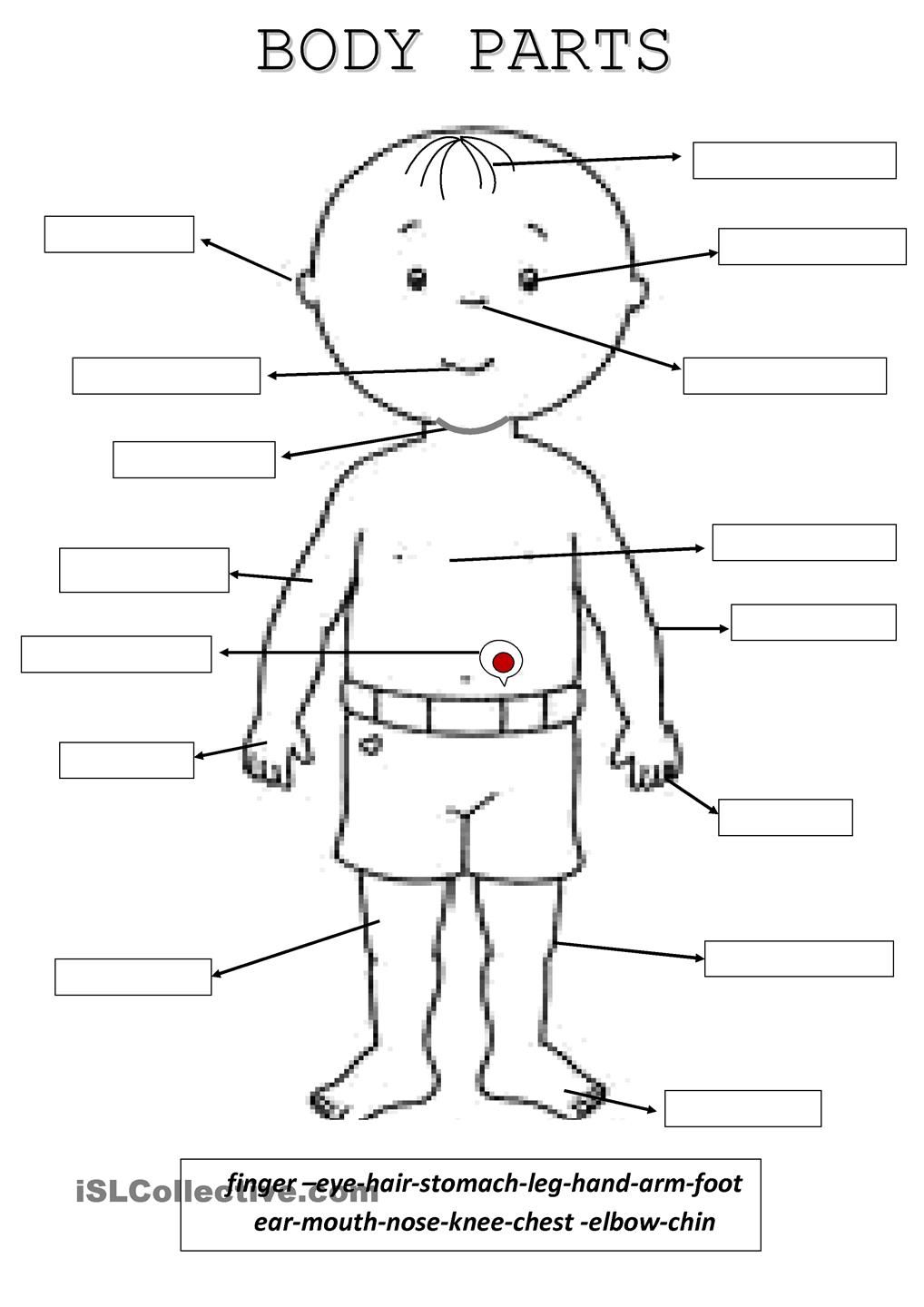 5 Fun Ways to Teach Kids Body Parts with Worksheets