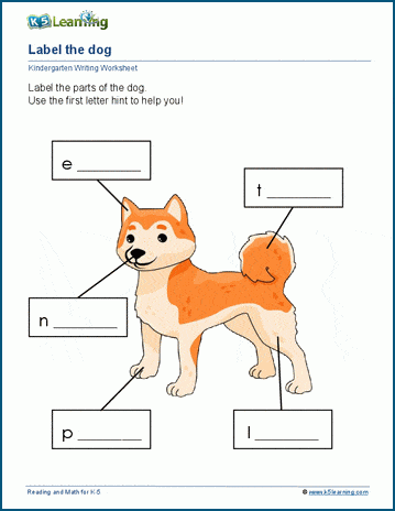 Labelling Parts Of A Circle Worksheet Worksheets Library