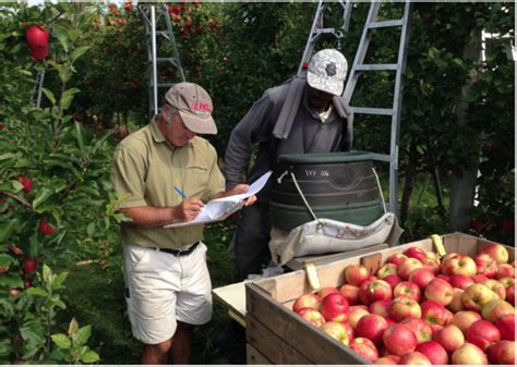 Labor Ready Farmer Videos Beginning Farmers