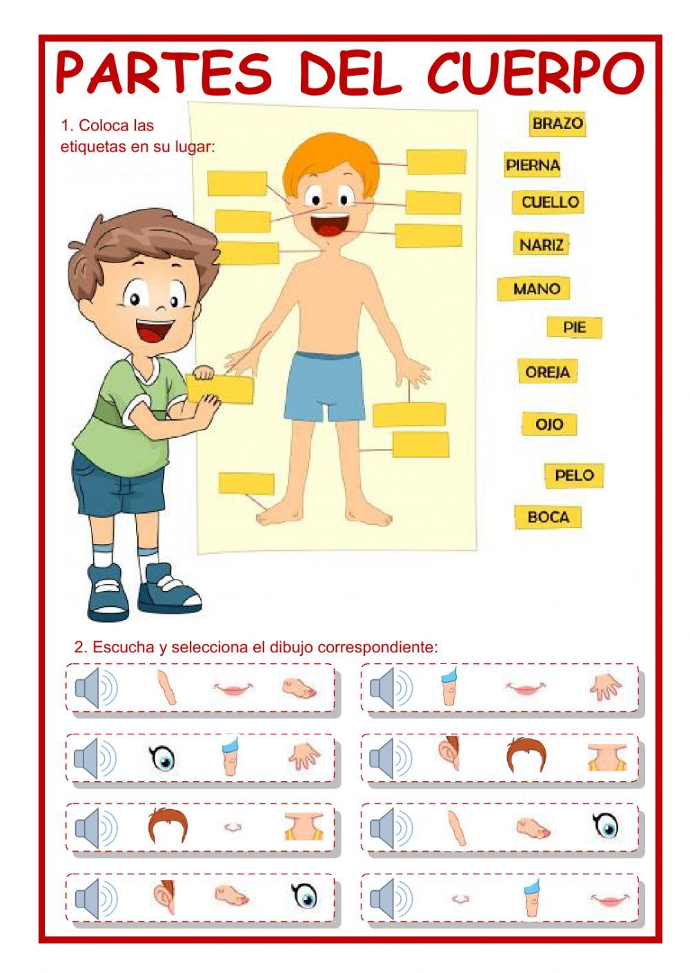 Descubre las partes del cuerpo en español: Worksheet