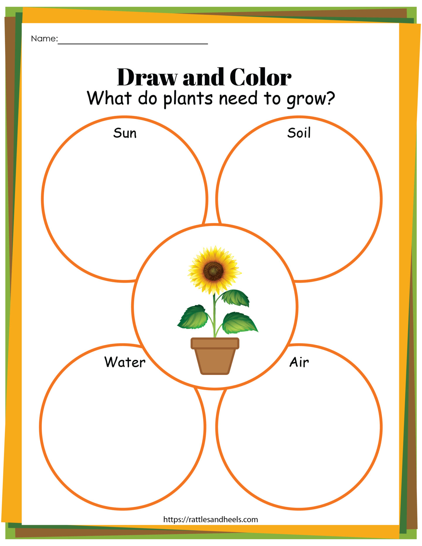 Plant Life Cycle Worksheet: Engaging Kids in Science